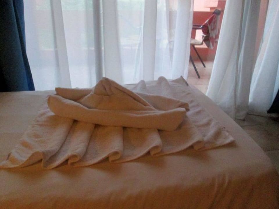 Statek Parrotel Aqua Park Resort