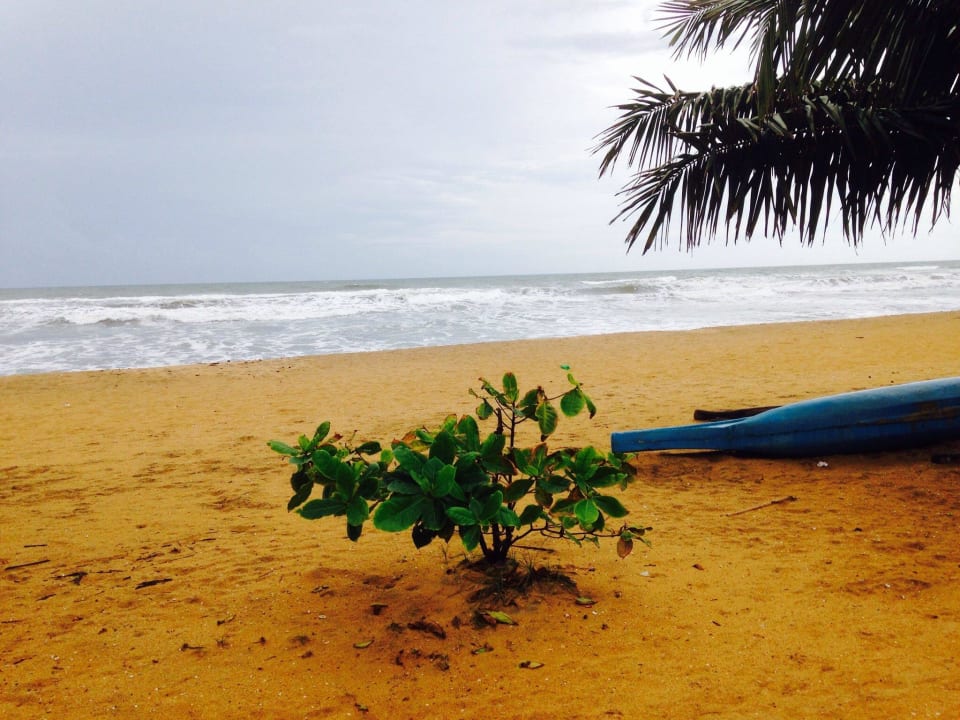 Strand Turyaa Kalutara