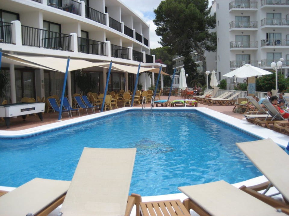 Pool und Liegen Hotel Osiris