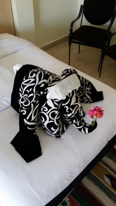 Zimmer Panorama Bungalows Resort El Gouna