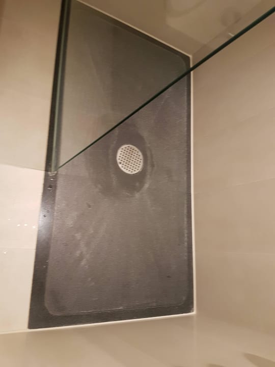 Kalk in der Duschtasse - muß nicht sein. Dorint Hotel Hamburg-Eppendorf