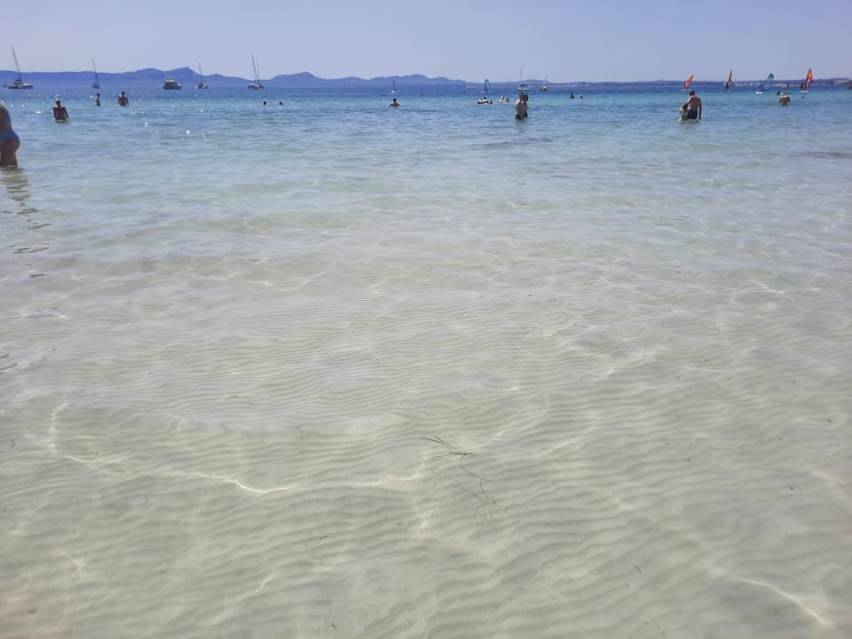 Strand Alcudia Garden Aparthotel