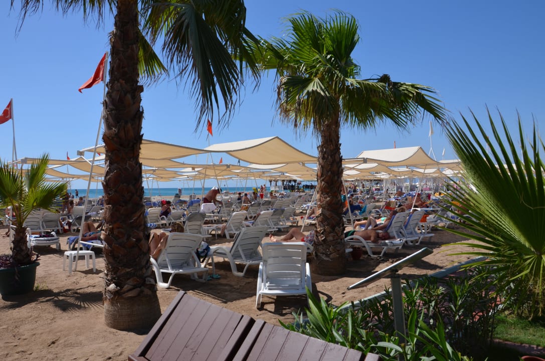 Strandabschnitt Hotel Delphin Diva