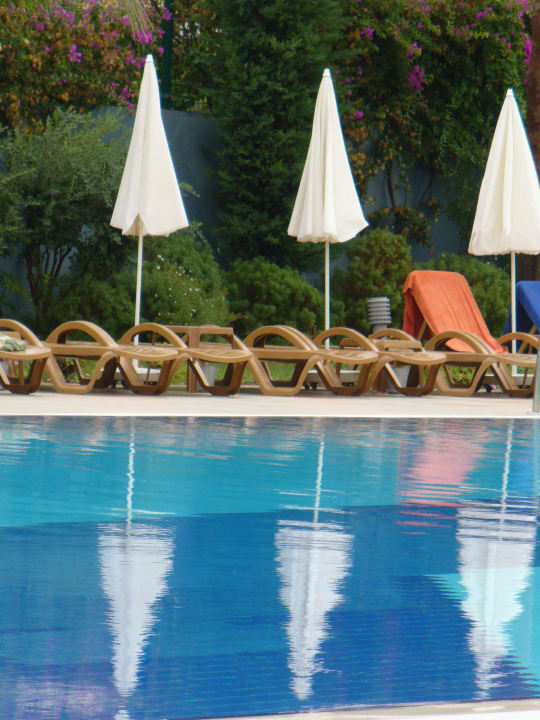 Zwembad in de ochtend Solivia Hotel