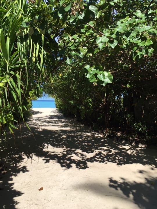 Gartenanlage NH Collection Maldives Havodda Resort