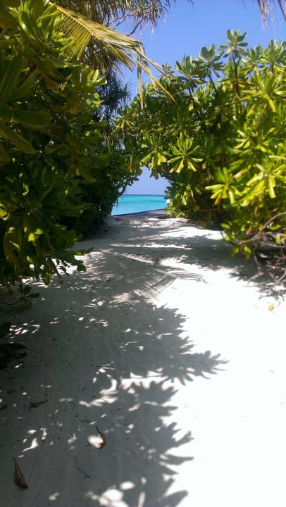Weg zu den Wasserbungalows und Sundownbar Angaga Island Resort