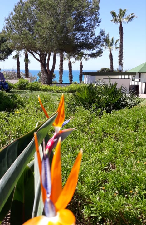 Gartenanlage Fuerte Conil-Resort