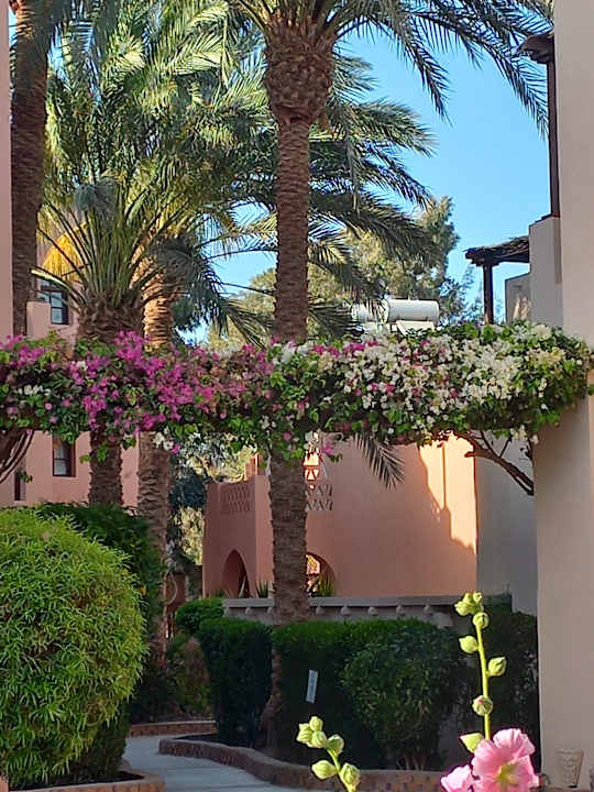 Gartenanlage Sultan Bey Hotel, El Gouna