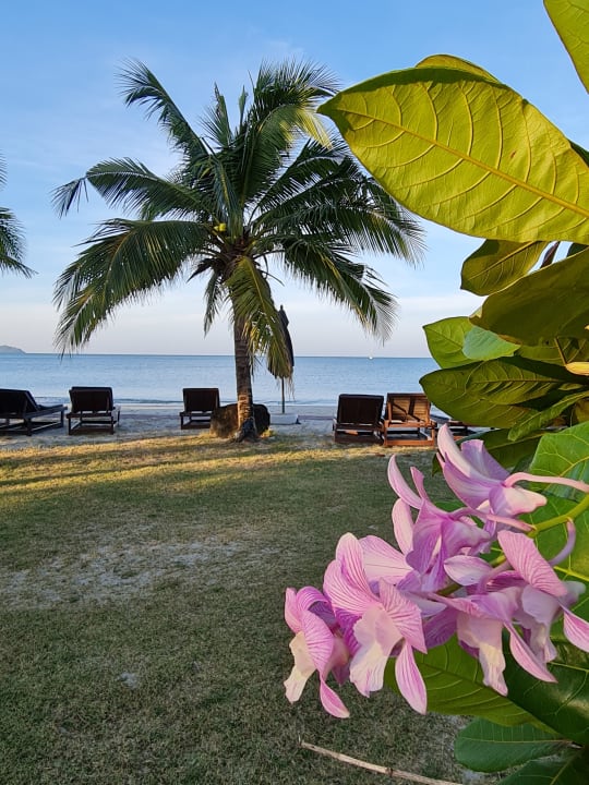 Ausblick Hotel Klong Prao Resort