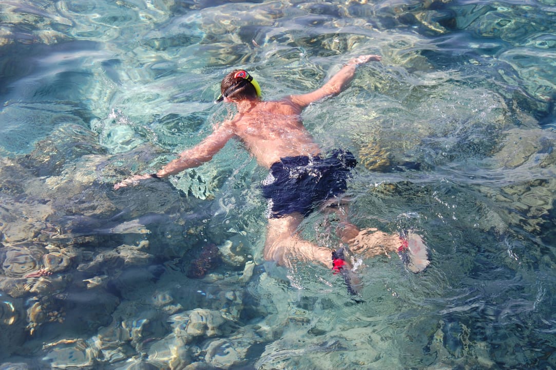 Przy hotelowej rafie Titanic Beach Spa & Aqua Park