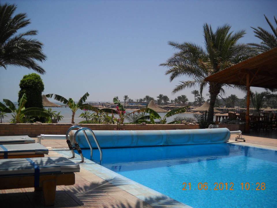 "Völlig überfüllter Pool" Hotel Sweet Home