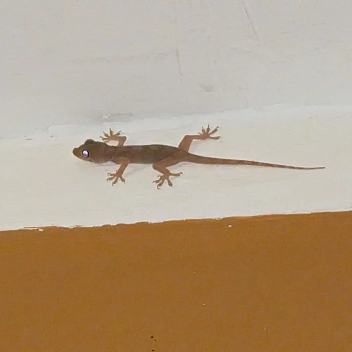 Sonstiges Golden Beach Resort