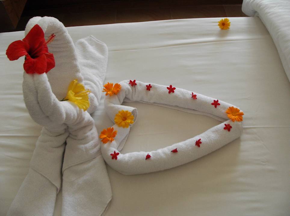 Und wieder ein Dankeschön... Pickalbatros Alf Leila Wa Leila Resort - Neverland Hurghada