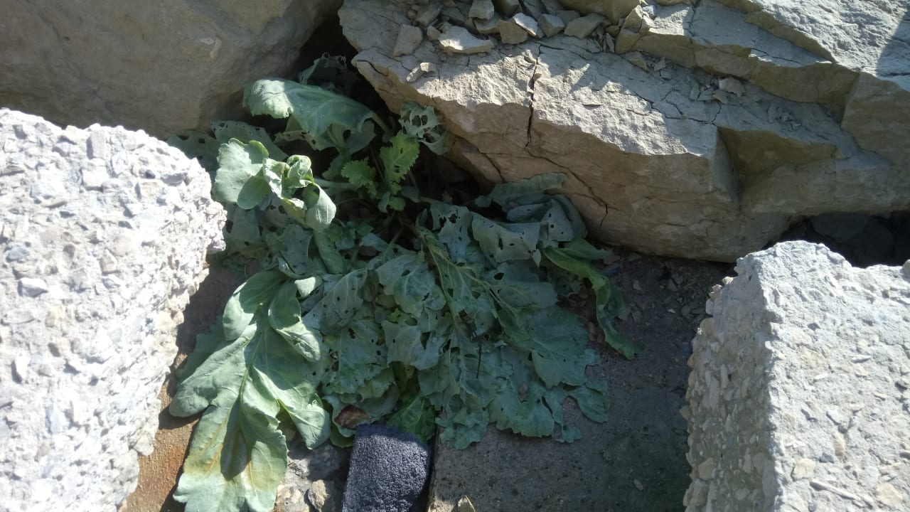 Sonstiges Sol Luna Bay