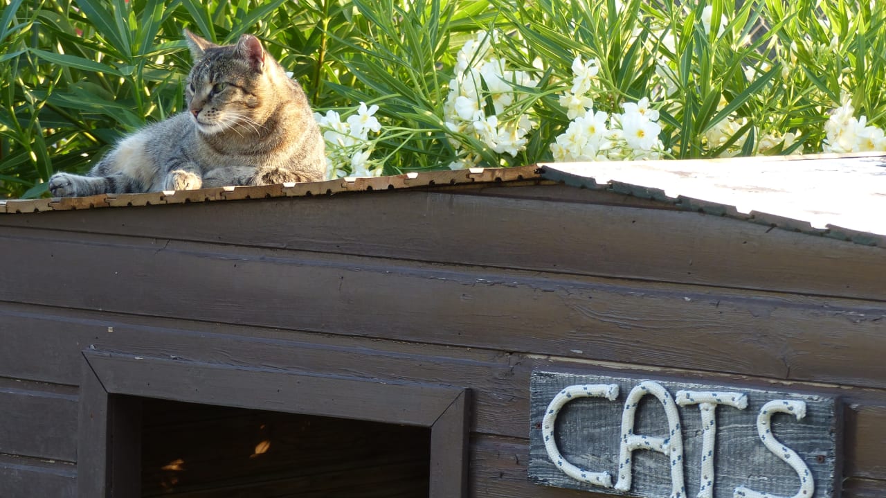 Sonstiges Atlantica Marmari Palace