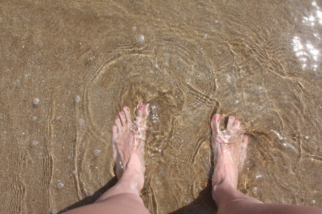 Песочек PALOMA Perissia