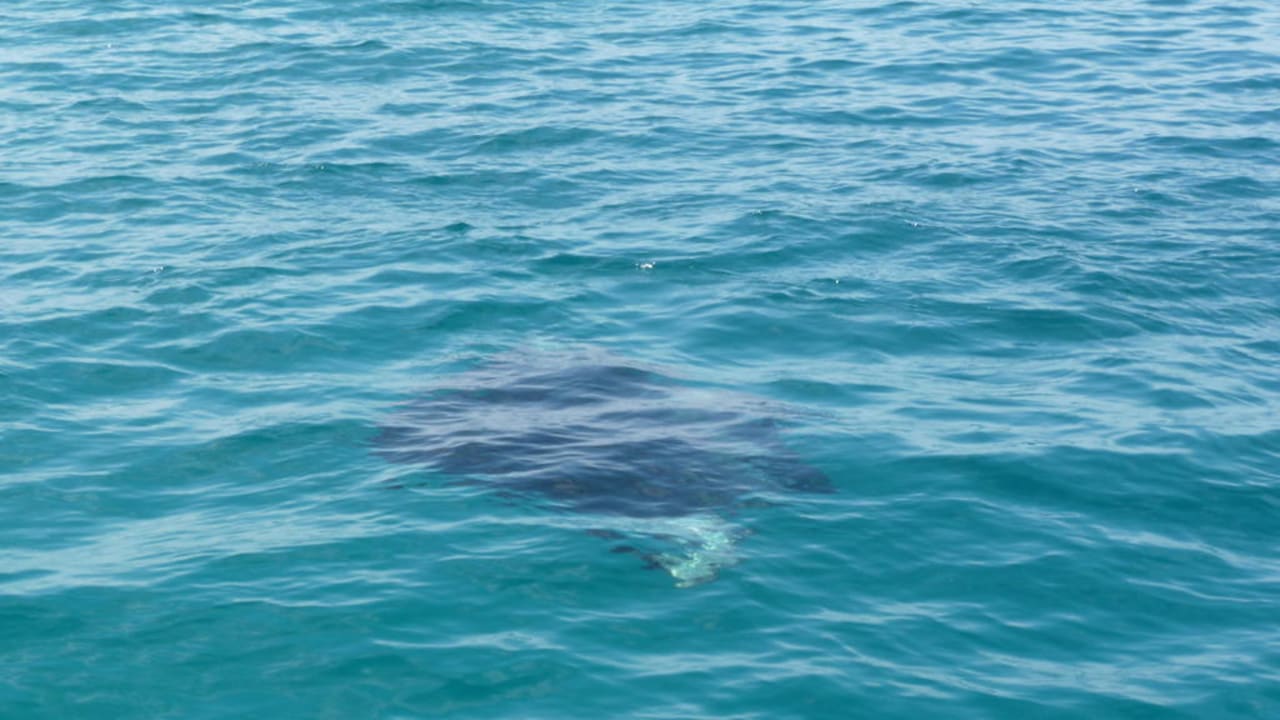 Mantas NH Collection Maldives Reethi Resort