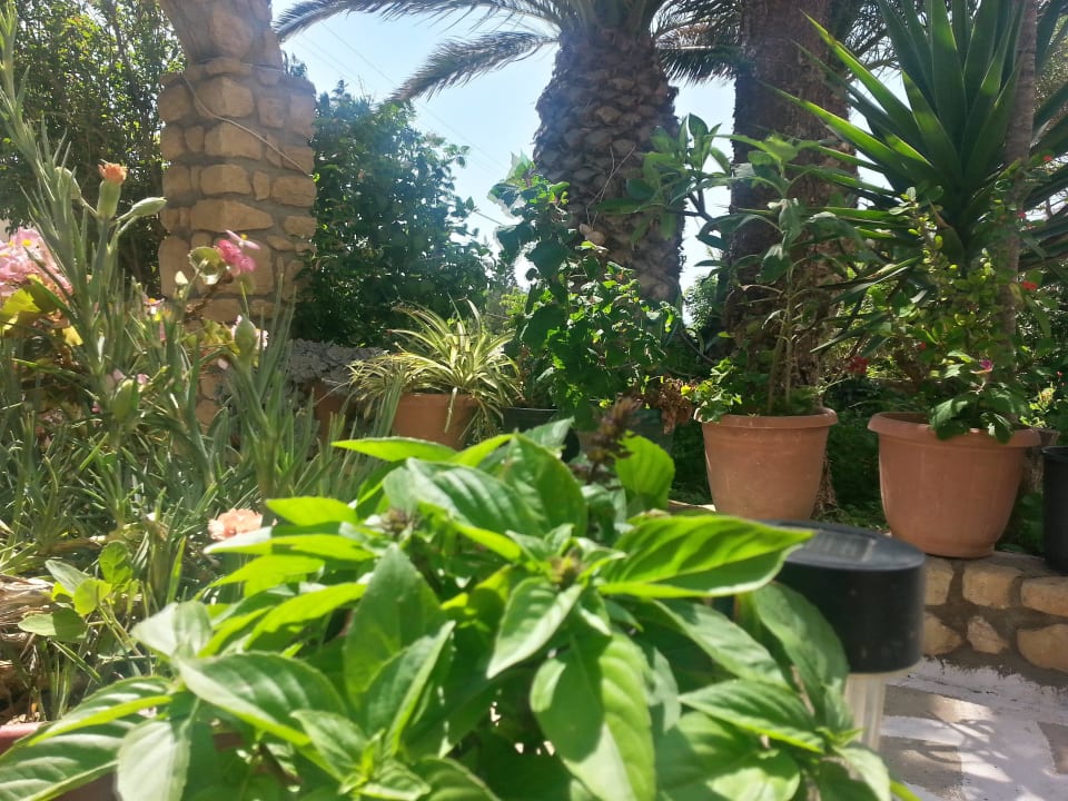 Montemare studios Montemar Studios & Apartments