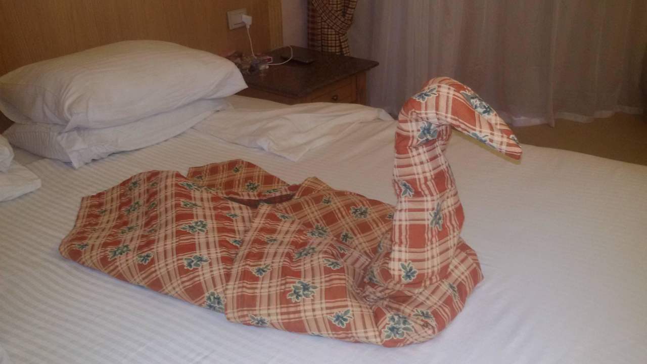 Bei einem Trinkgeld bekommt man eine Überraschung Beach Albatros Resort