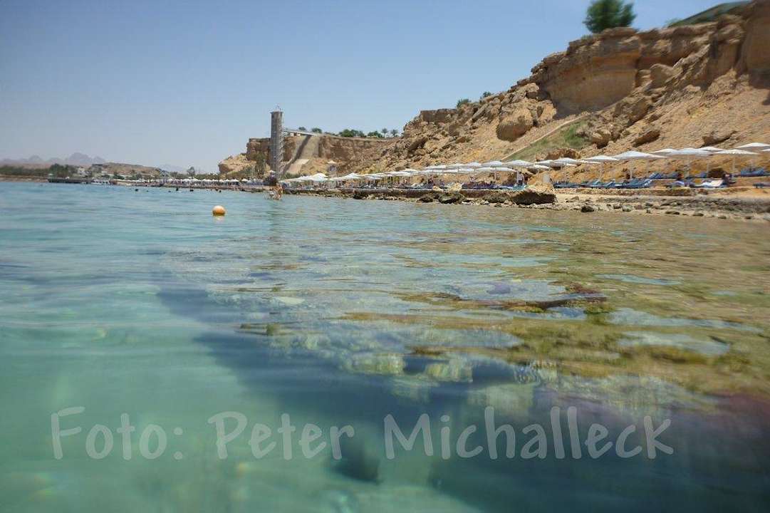 Hotelstrand Albatros Sharm Resort