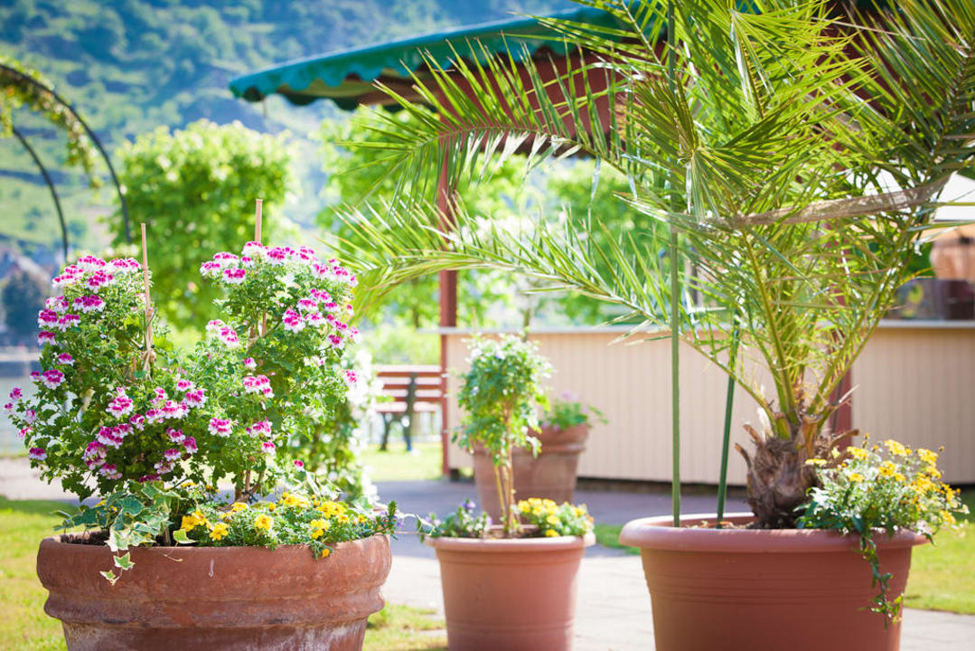 Rebstock Garden Landgasthof Rebstock