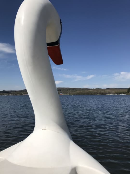 Strand Center Parcs Park Bostalsee