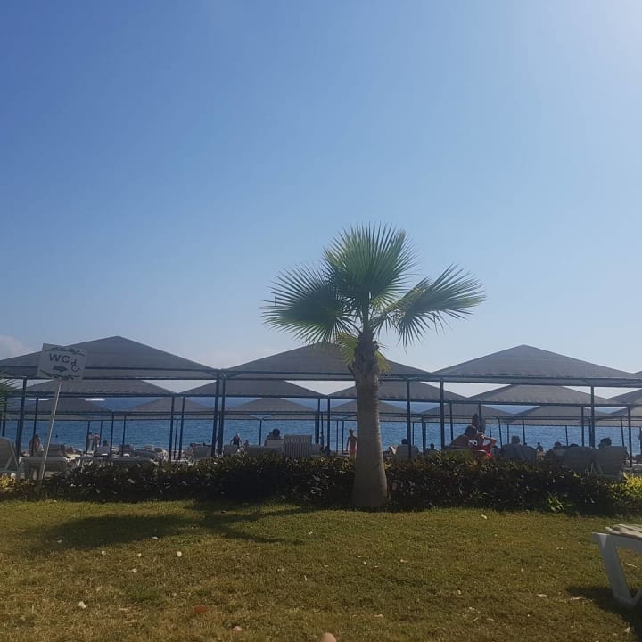 Gartenanlage Le Jardin Resort