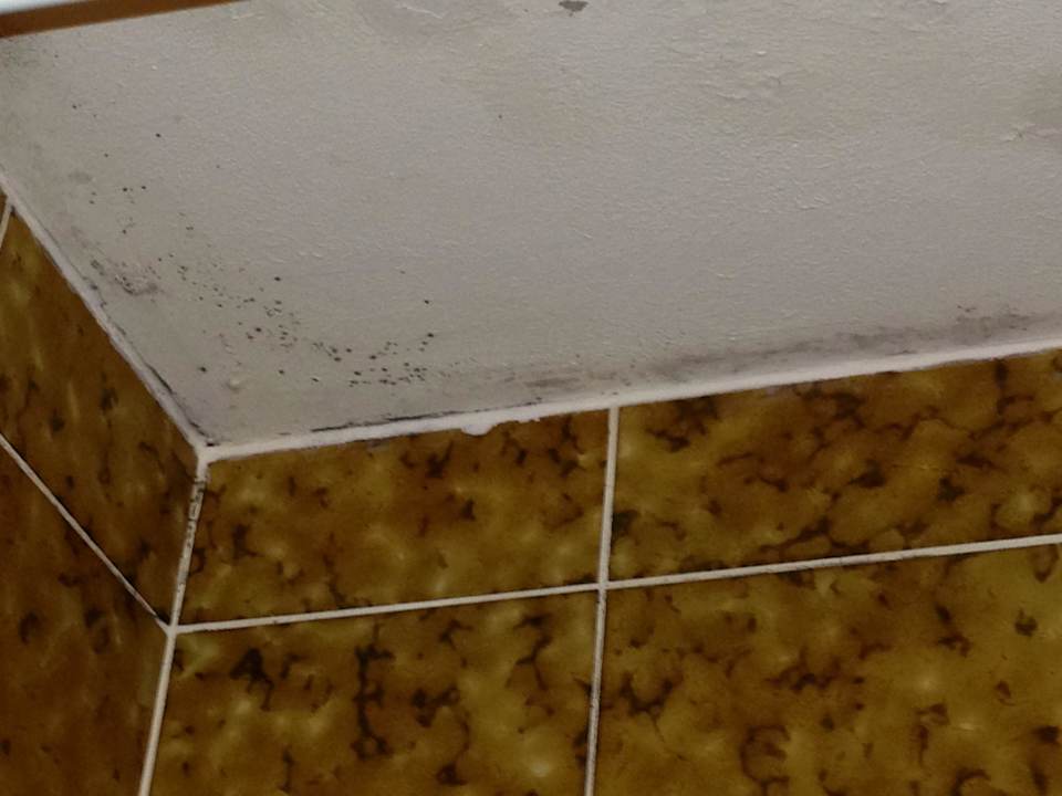 Schimmel Hotel Simonshof