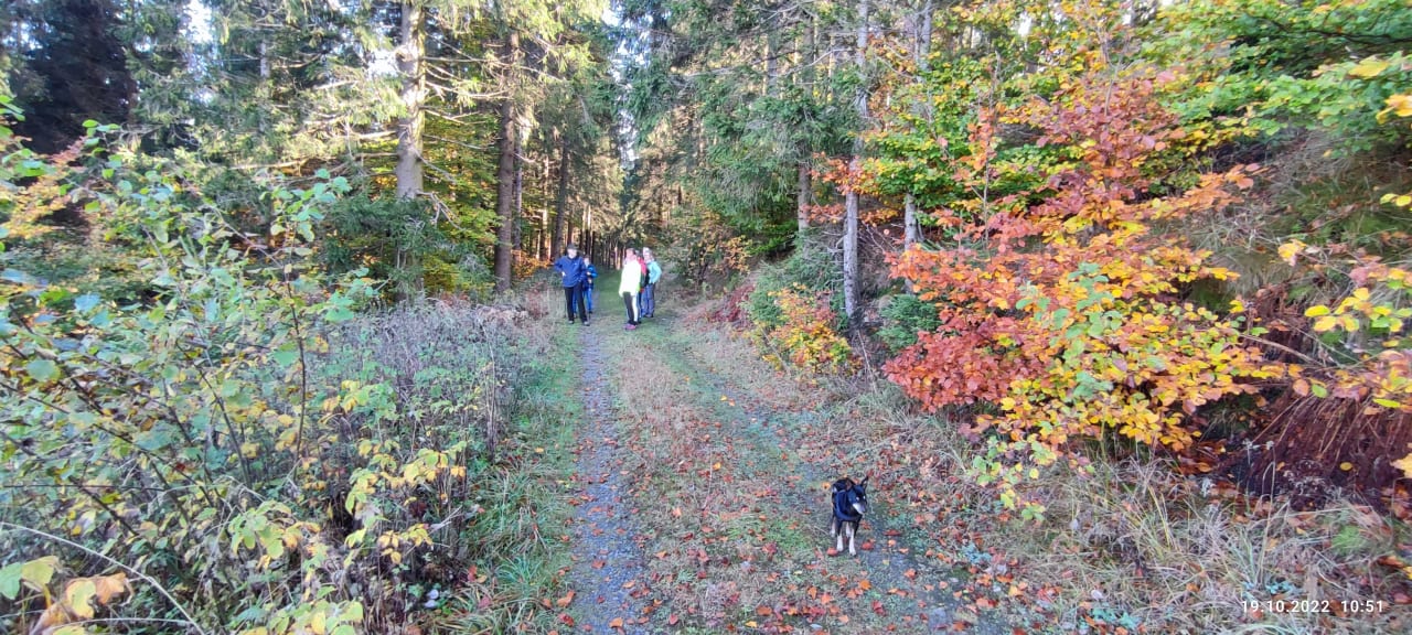 Ausblick Berghotel Hoher Knochen