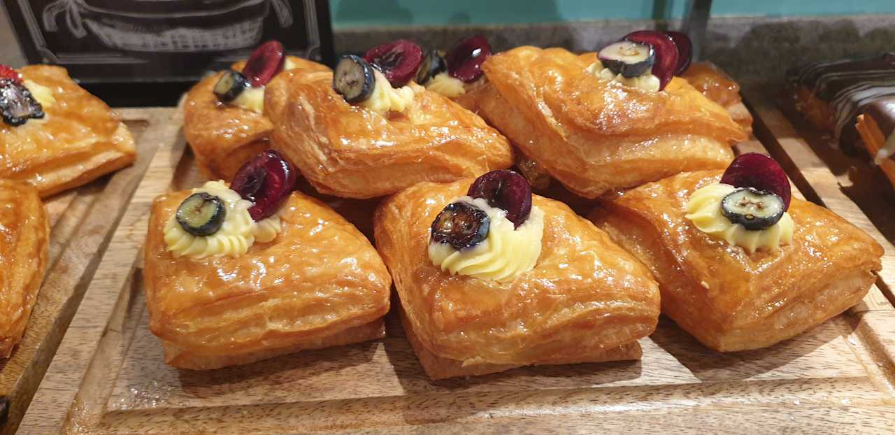 Gastro JAZ Elite Asteria