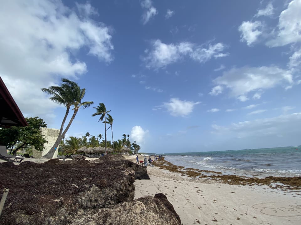 Strand Punta Cana Princess All Suites Resort & Spa