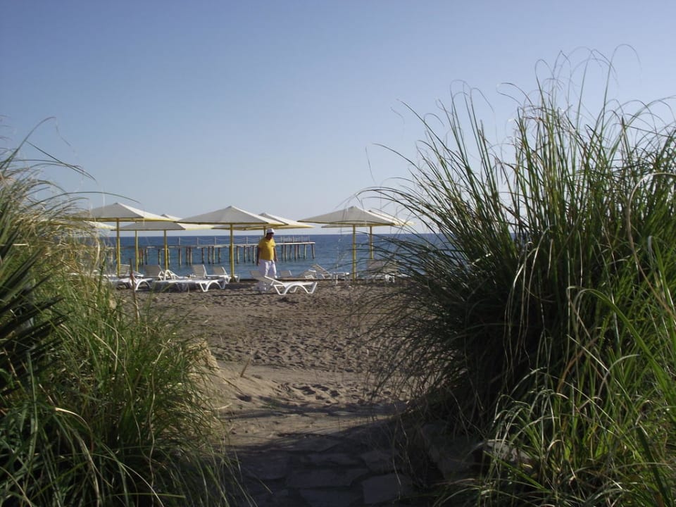 Beach Selectum Family Comfort Side