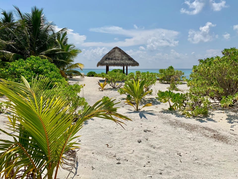 Strand Summer Island Maldives