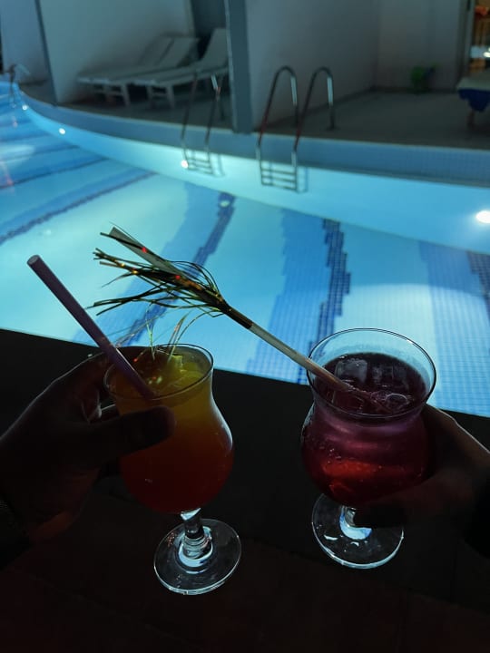 Gastro Well Palace Side