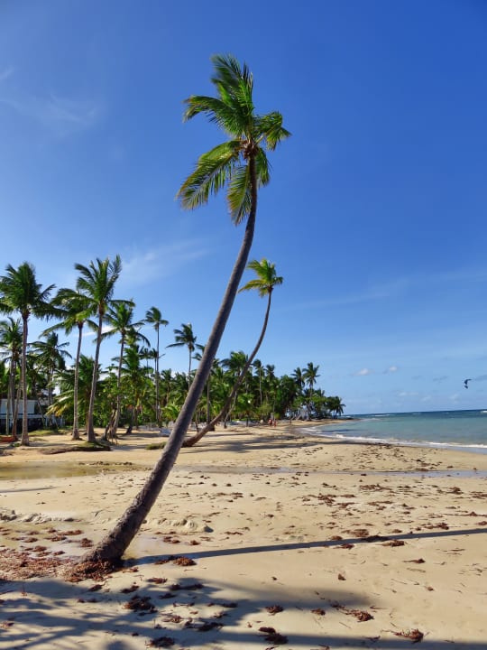 Strand Bahia Principe Grand El Portillo