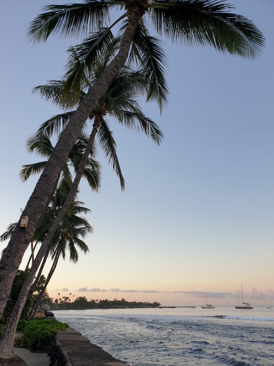 Gartenanlage Hotel The Makai Inn