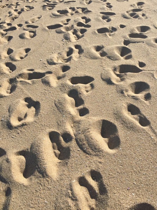 Strand Sentido Marea