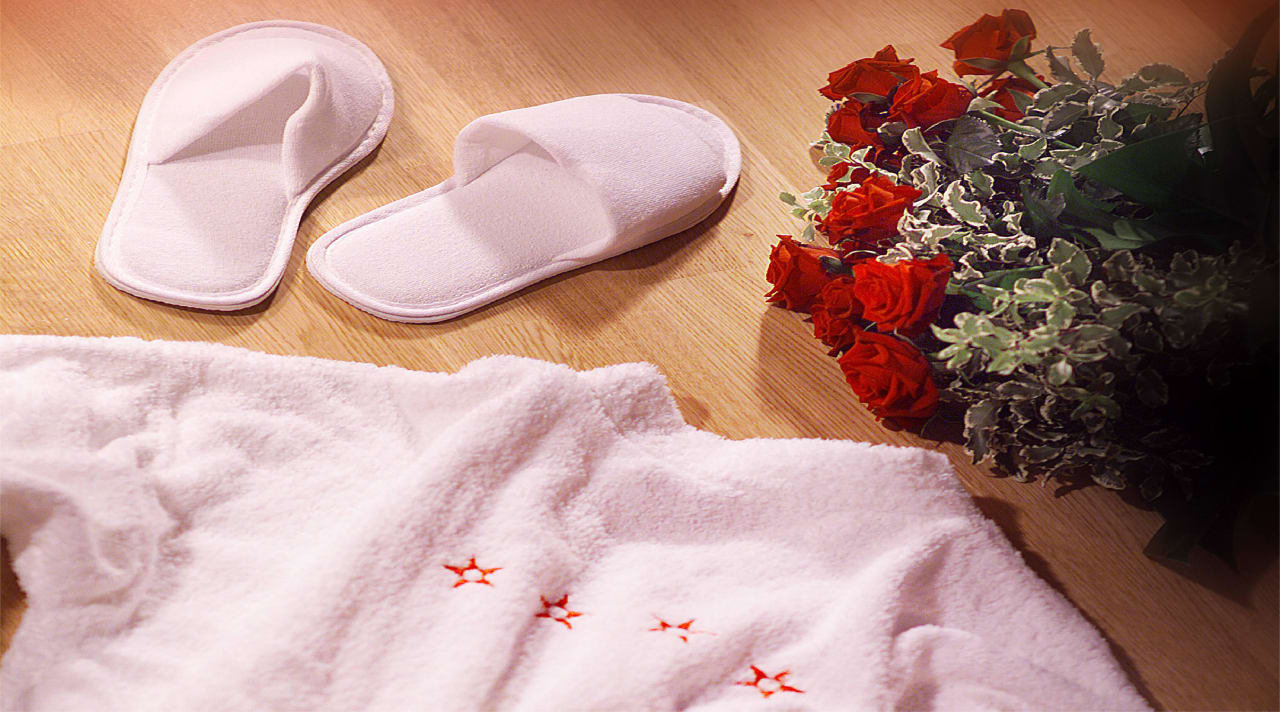 Details All In Red Thermenhotel