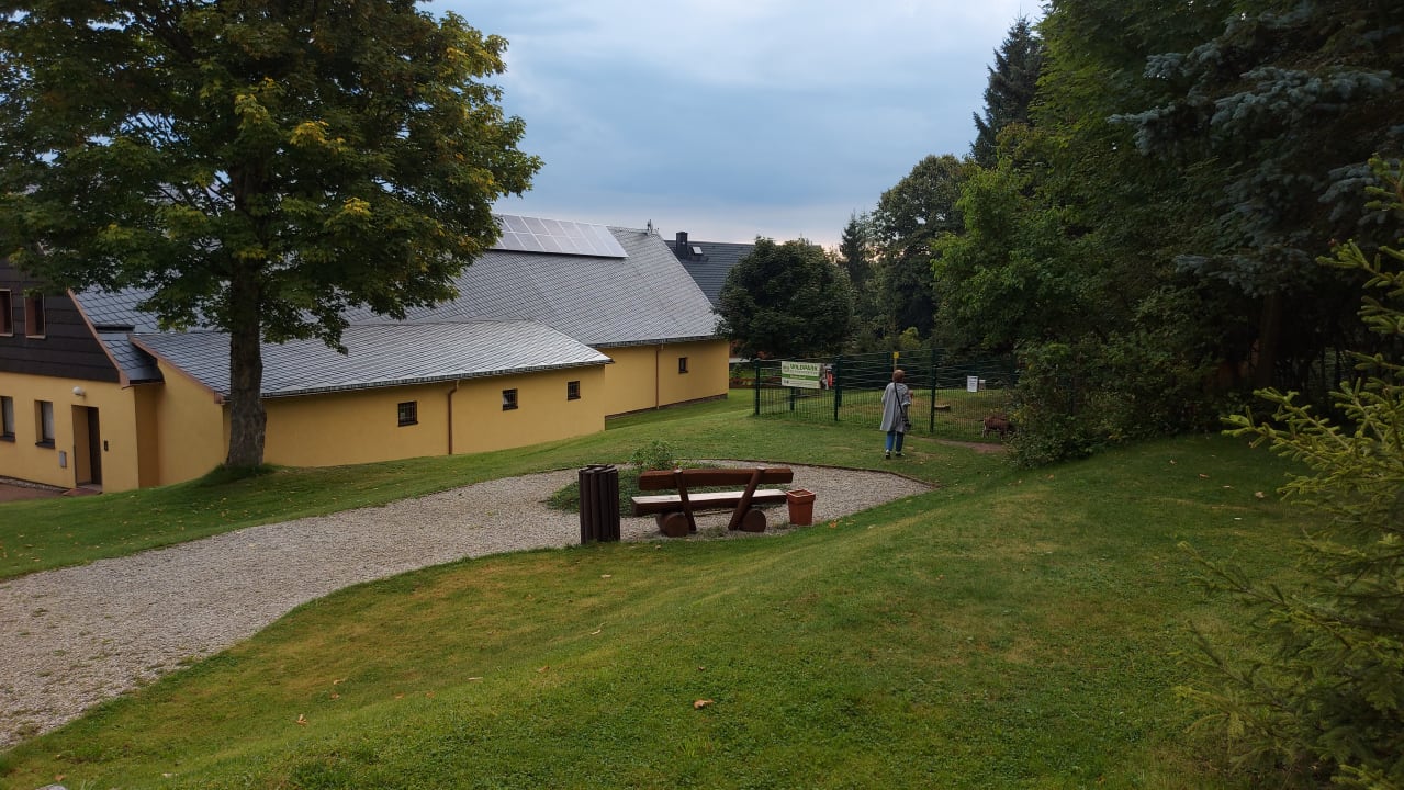 Garten AHORN Waldhotel Altenberg