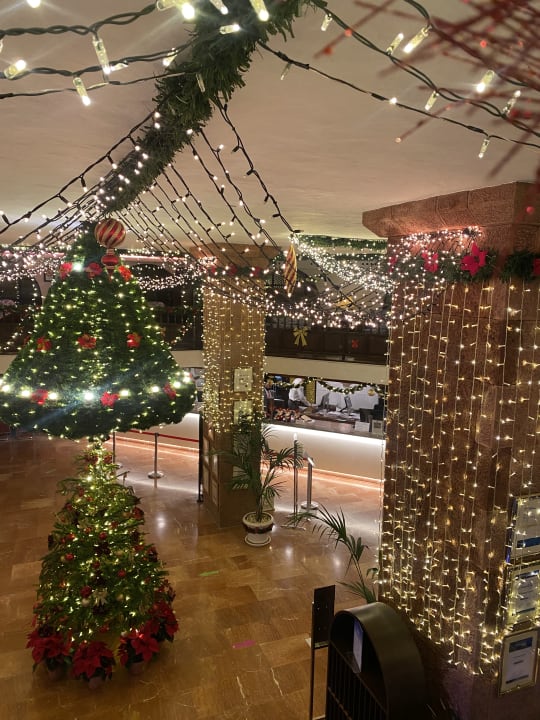 Lobby Hotel Parque Tropical