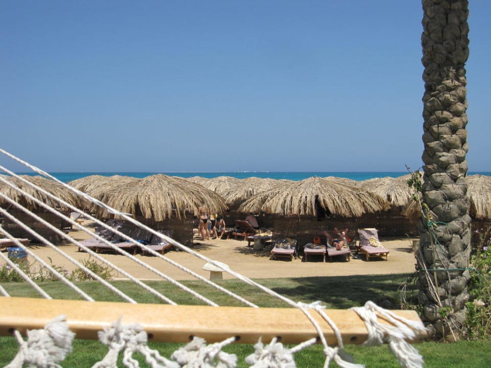 Blick aus der Hängematte Sentido Caribbean World Soma Bay