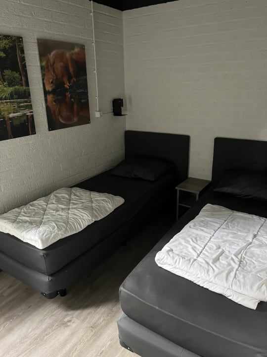 Zimmer Roompot Weerterbergen