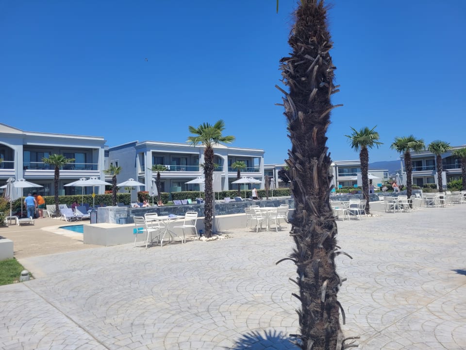 Außenansicht TUI BLUE Lagoon Princess