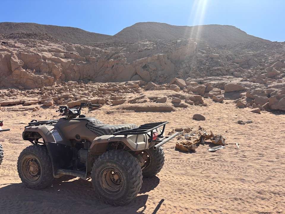 Sport & Freizeit Beach Albatros Resort