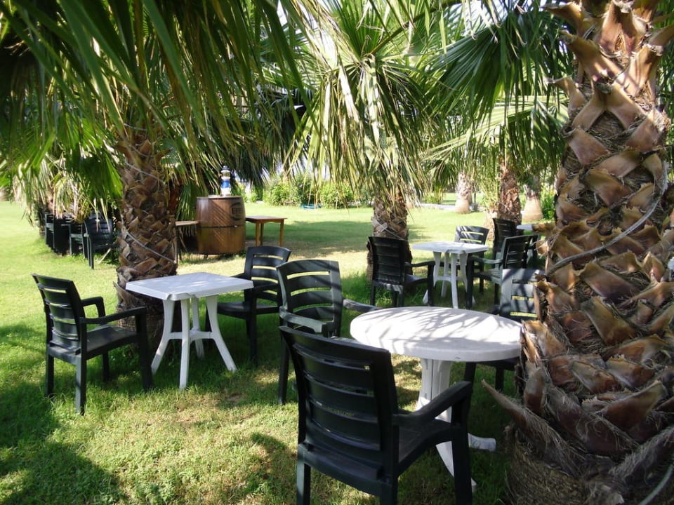 Biergarten am Tag Royal Atlantis Beach Hotel