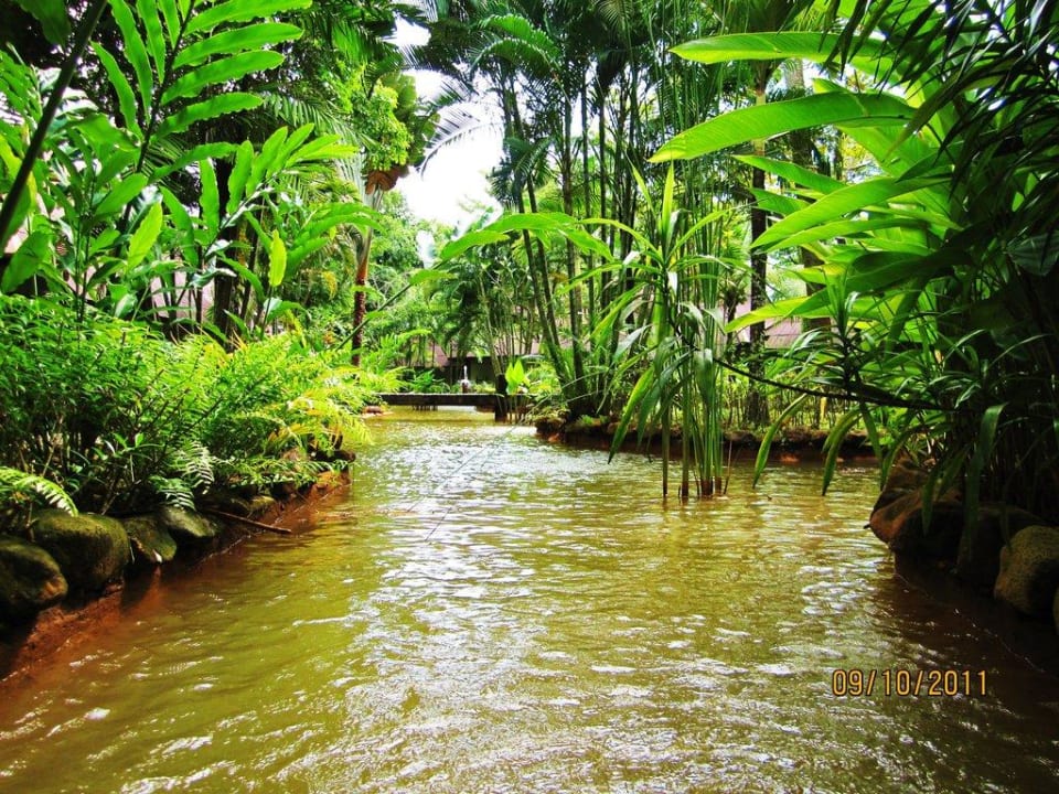 Bachlauf Annika Koh Chang