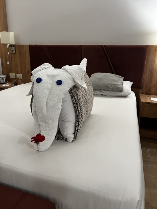 Zimmer Stella Beach Resort & Spa Makadi Bay