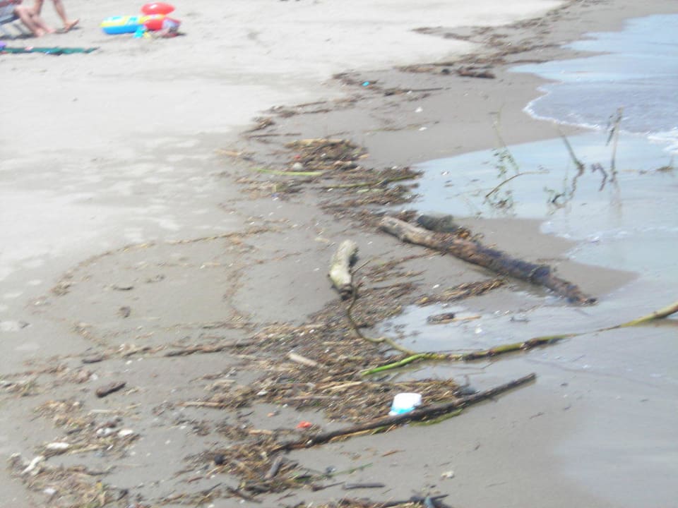 Gereinigter Strand Rosapineta Camping Village