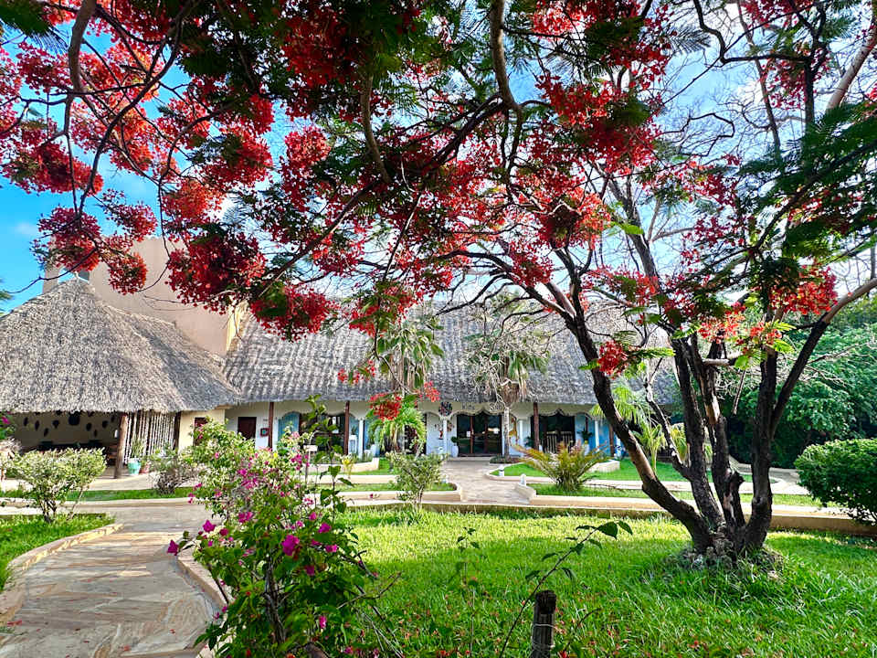 Gartenanlage Reef & Beach Resort