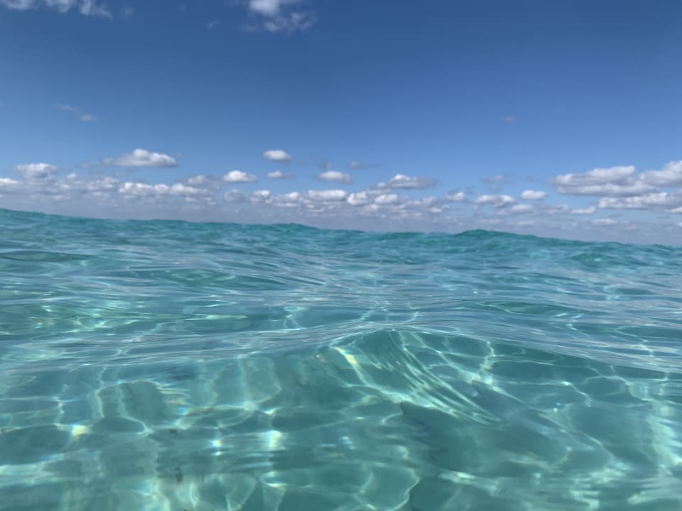 Strand Blau varadero - Adults only